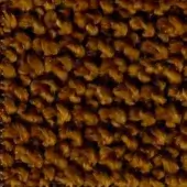 Dark brown looped pile fabric texture with heathered effect, short dense loops, and a slightly nubby surface; identified as extra 838.